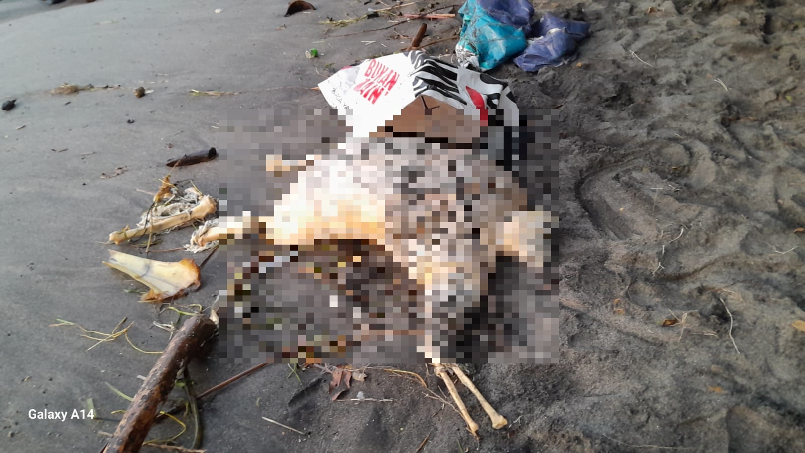 Mayat Tak Utuh di Pantai Malimbu Gegerkan Warga