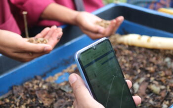 XL Axiata Bantu Pesantren Darul Muttaqien Lombok Timur Ciptakan Usaha Mandiri