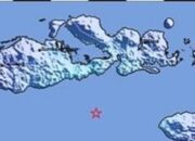 Gempa Bumi Tektonik Guncang Sumbawa, Tidak Berpotensi Tsunami