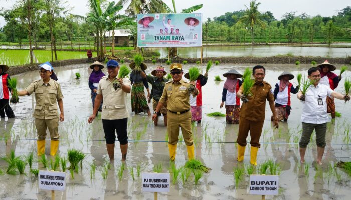 GamaGora 7: Inovasi Pertanian untuk Ketahanan Pangan Nasional