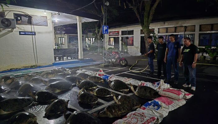 Aksi Heroik Polres Jembrana: Gagalkan Penyelundupan Satwa Dilindungi