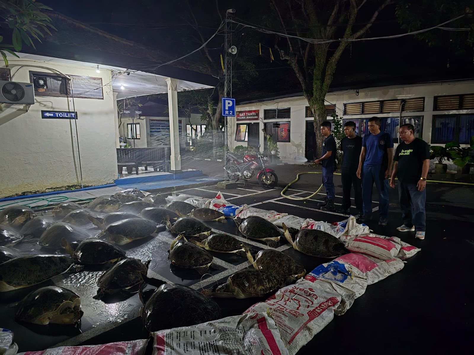 Aksi Heroik Polres Jembrana: Gagalkan Penyelundupan Satwa Dilindungi