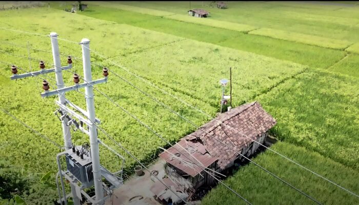 Listrik PLN Masuk Sawah, Petani Hemat Hingga 300%