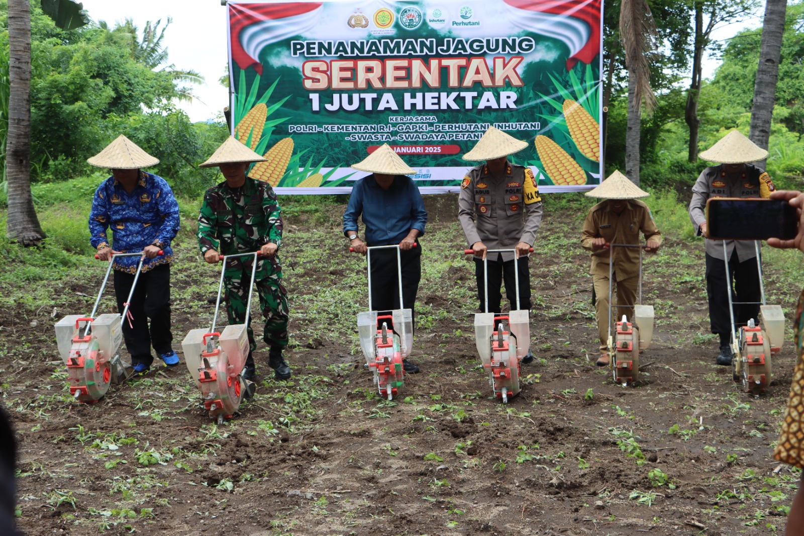 Ketahanan Pangan: 1 Juta Hektar Jagung Ditanam Serentak