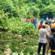 Pohon Tumbang di Lombok Utara, Pengendara Luka Parah