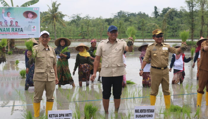 HKTI Apresiasi Kenaikan Harga Gabah Kering Giling