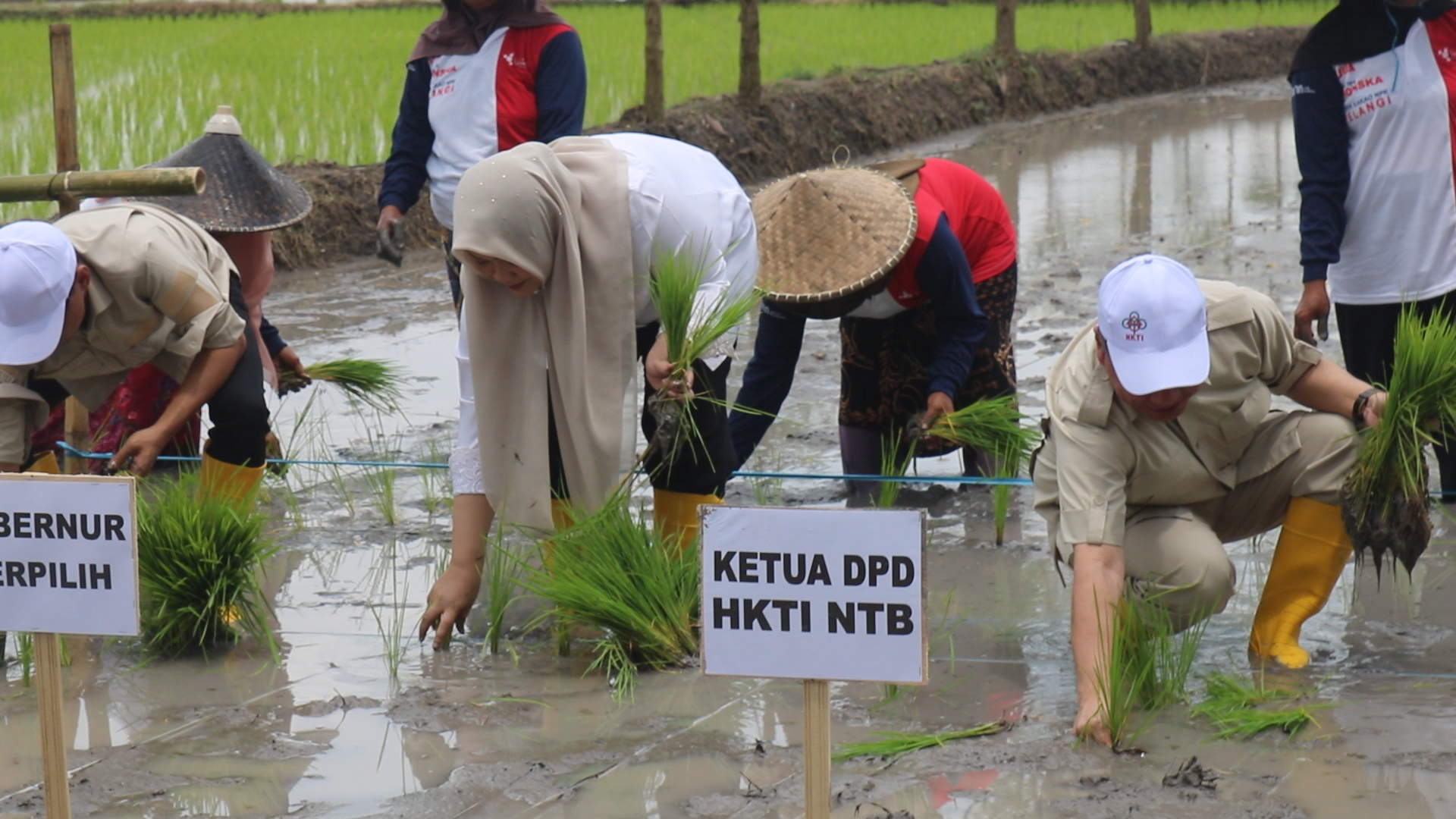 Gamagora 7, Inovasi Baru HKTI untuk Swasembada Pangan