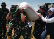 Bulog NTB & TNI Kawal Harga Gabah, Petani Dijamin Sejahtera