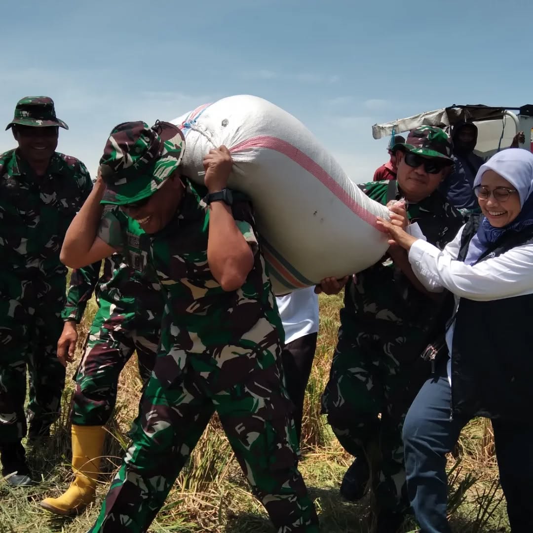 Bulog NTB & TNI Kawal Harga Gabah, Petani Dijamin Sejahtera