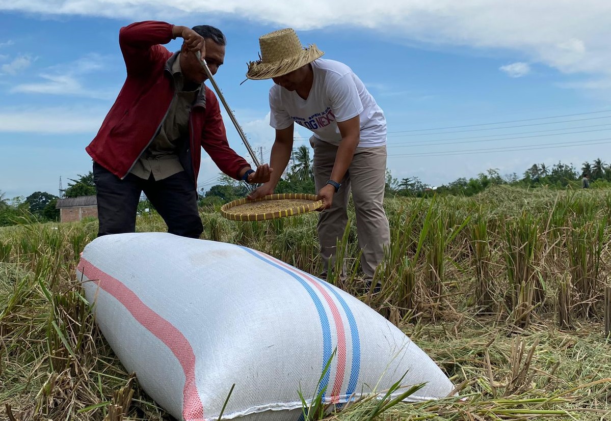 Optimalkan Stok, Bulog NTB Jemput Gabah Langsung ke Sawah