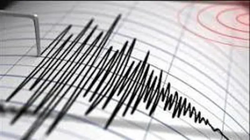 Gempa M 4,2 Guncang Lombok, Ini Imbauan BMKG