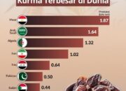 Mesir Kuasai Produksi Kurma Global, Siapa Saja Pesaingnya?