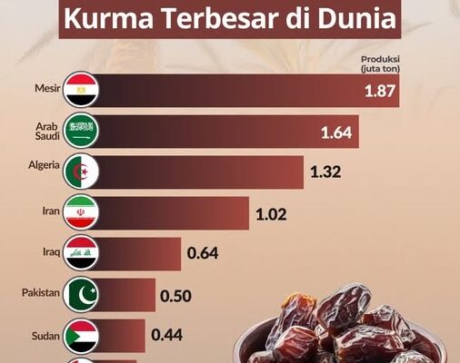 Mesir Kuasai Produksi Kurma Global, Siapa Saja Pesaingnya?