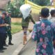 Panen Raya Jatim, Bulog Kediri Optimalkan Serapan Gabah