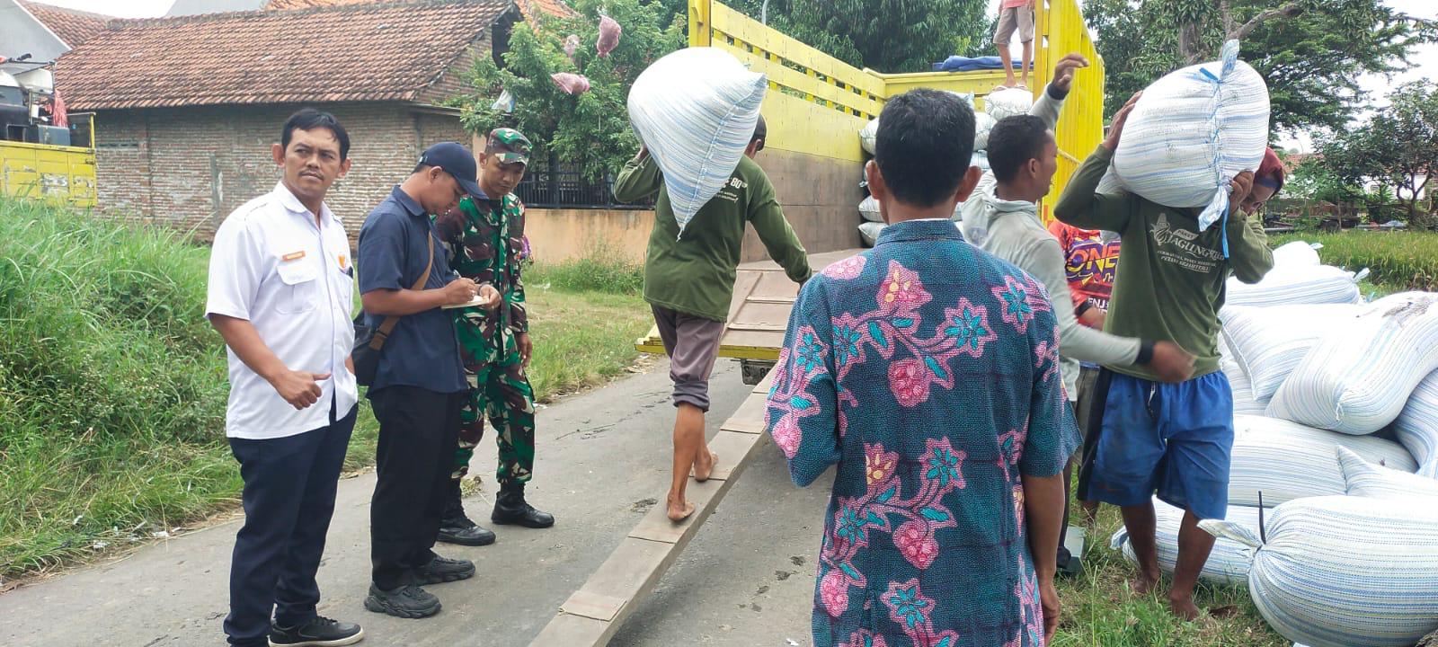 Panen Raya Jatim, Bulog Kediri Optimalkan Serapan Gabah