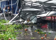 Angin Kencang Robohkan Pohon, 3 Pengendara Terluka Tertimpa Pohon