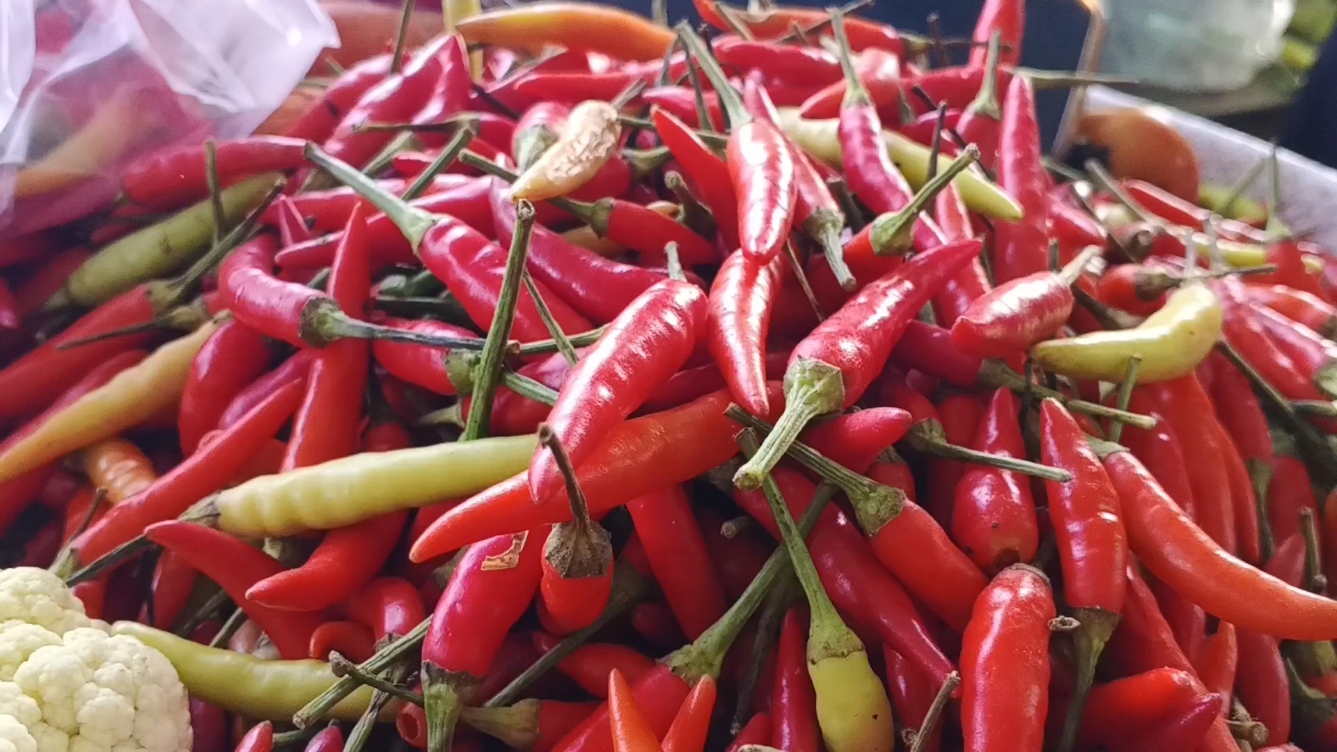 Harga Cabai di Lombok Tengah Melonjak Drastis: Tembus Rp 200 Ribu per Kilogram