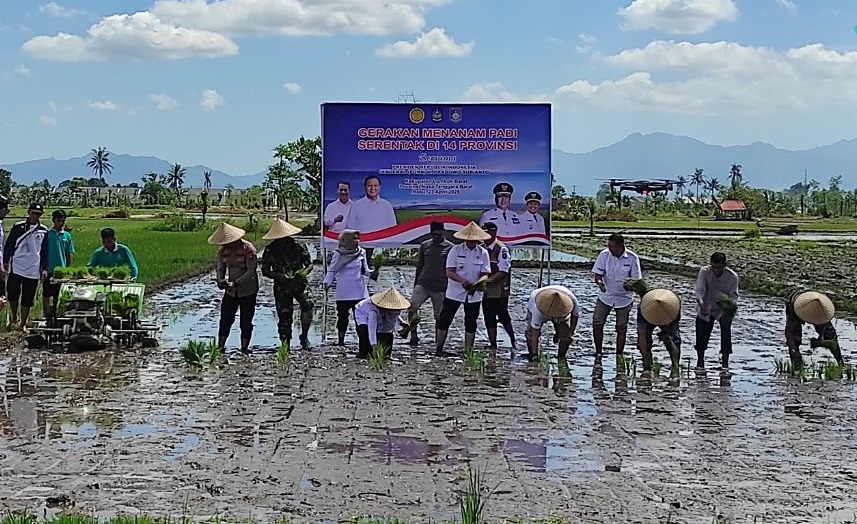 Lombok Barat Wakili NTB dalam Gerakan Nasional Tanam Padi Serentak