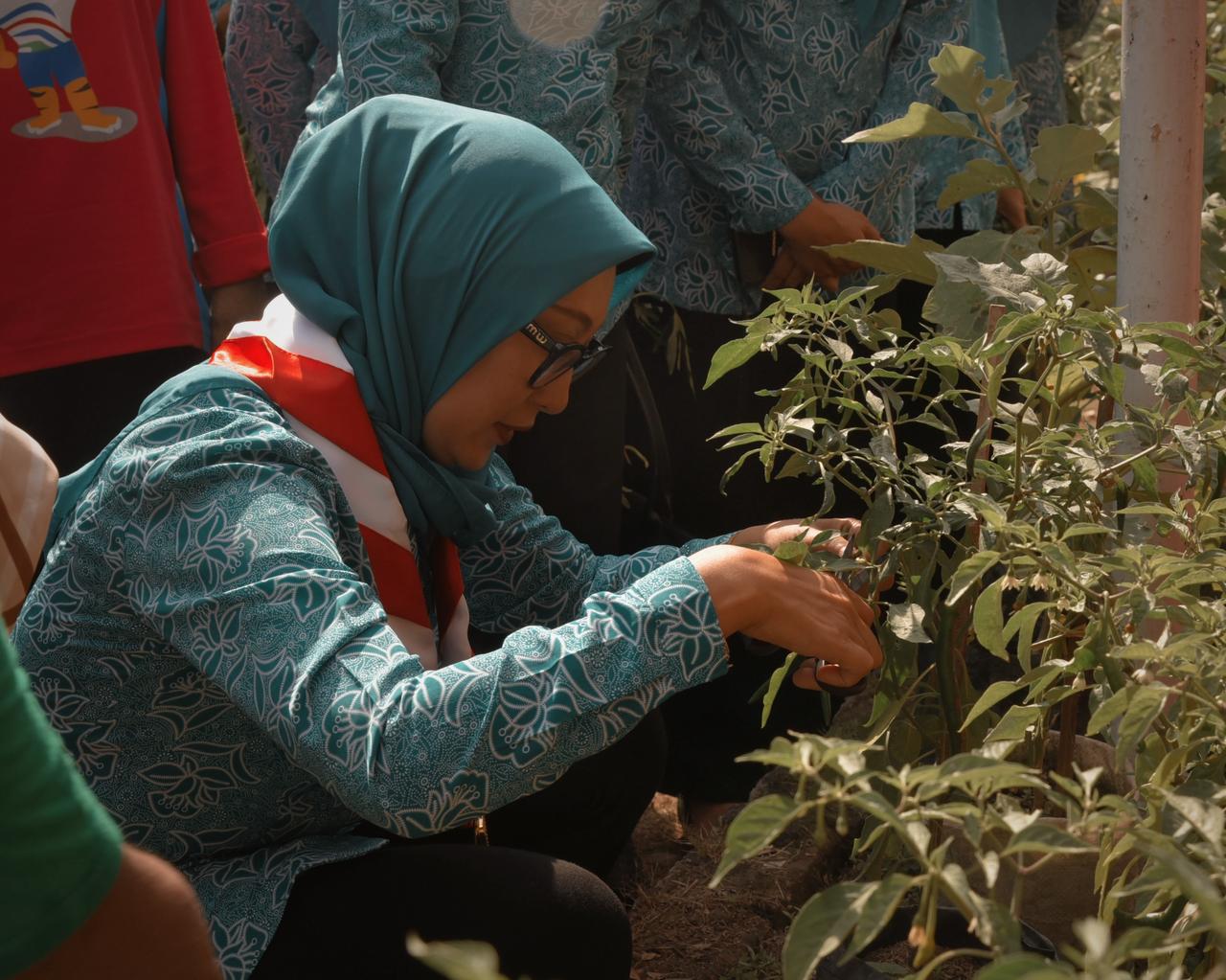 Pramuka NTB Gandeng PKK: Pekarangan Berdaya, Pangan Terjaga