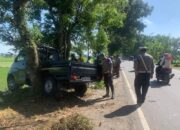 Tragis di Gerung: Pikap Tabrak Pohon, Bocah Tewas, Belasan Luka