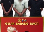 Tiga Pengedar Dibekuk di Narmada, Polresta Mataram Gagalkan Peredaran 330 Gram Sabu
