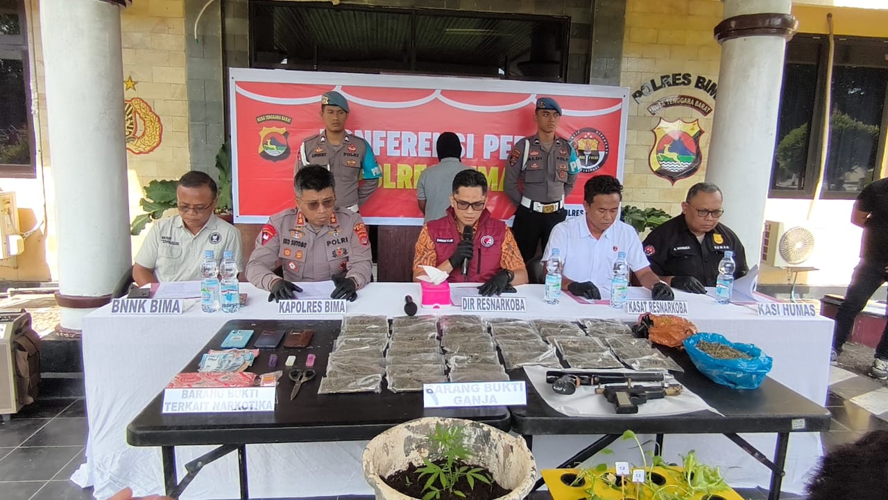 Polda NTB Grebek Sarang Ganja di Bima, Belasan Pohon Jadi Bukti