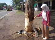 Wakil Ketua DPRD Lombok Tengah Meninggal Dunia Usai Mobil Tabrak Pohon Dini Hari