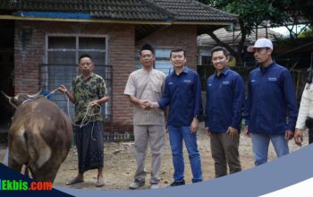 ITDC Salurkan Hewan Kurban di Bali, NTB, dan NTT untuk Perkuat Relasi Sosial