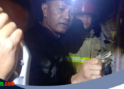Empat Ular Kobra Sepanjang 1,5 Meter Dievakuasi dari Rumah Warga di Kediri