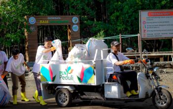 Rayakan Ultah PLN, Pokdarwis Jerowaru Tanam 50 Bibit Mangrove