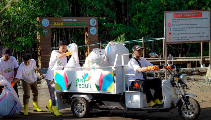 Rayakan Ultah PLN, Pokdarwis Jerowaru Tanam 50 Bibit Mangrove