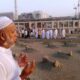 15 Jemaah Haji NTB Wafat Selama Musim Haji 2025