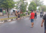 Sapi Kurban Ngamuk di Mataram, Nyaris Seruduk Warga di Tengah Jalan