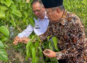 Inovasi BRIDA NTB Masuk IGA 2025: Kurma & Sacha Inchi Jadi Komoditas Unggulan
