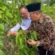 Inovasi BRIDA NTB Masuk IGA 2025: Kurma & Sacha Inchi Jadi Komoditas Unggulan