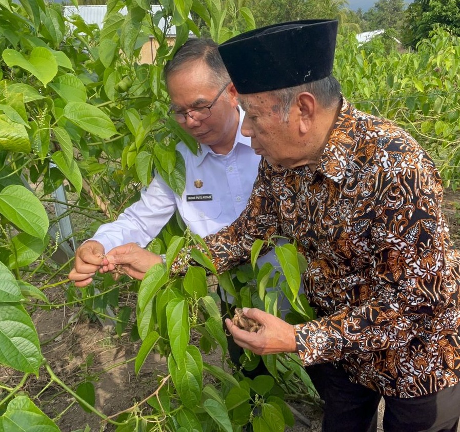 Inovasi BRIDA NTB Masuk IGA 2025: Kurma & Sacha Inchi Jadi Komoditas Unggulan