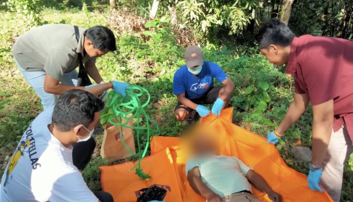 Tragis! Pria Asal Lombok Utara Ditemukan Tewas Gantung Diri di Perkebunan Mangga