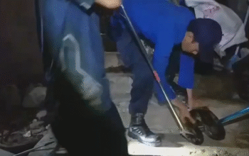 Ular Sanca 2,5 Meter Gegerkan Gudang Hotel di Senggigi, Damkar Lombok Barat Turun Tangan