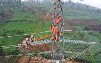 Peningkatan Pendapatan Dorong PLN Masuk Fortune Global 500