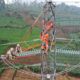 Peningkatan Pendapatan Dorong PLN Masuk Fortune Global 500