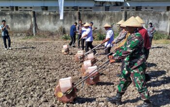 Danrem 162/WB Apresiasi Babinsa Tanam Jagung di Ponpes Al-Ikhlas: Dorong Ketahanan Pangan Lokal