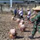 Danrem 162/WB Apresiasi Babinsa Tanam Jagung di Ponpes Al-Ikhlas: Dorong Ketahanan Pangan Lokal