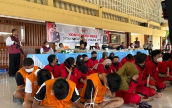 Polda NTB Bongkar 12 Kasus Narkoba, 23 Tersangka Ditangkap
