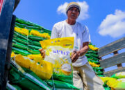 Stok Beras NTB Aman Jelang Maulid Nabi 2025, Bulog Pastikan Harga Stabil
