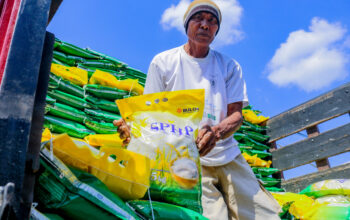 Stok Beras NTB Aman Jelang Maulid Nabi 2025, Bulog Pastikan Harga Stabil