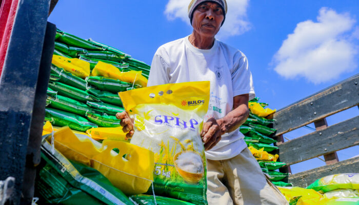 Stok Beras NTB Aman Jelang Maulid Nabi 2025, Bulog Pastikan Harga Stabil