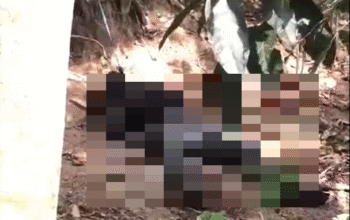 Penemuan Mayat Membusuk di Kebun Hebohkan Lembar