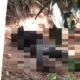 Penemuan Mayat Membusuk di Kebun Hebohkan Lembar