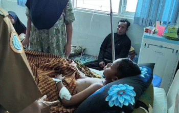 Bocah 4 Tahun di Lombok Timur Diserang Anjing Liar, Alami Luka Parah