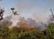 Kebakaran Lahan 3 Hektar di Kayangan, Polsek dan Damkar Berhasil Padamkan Api